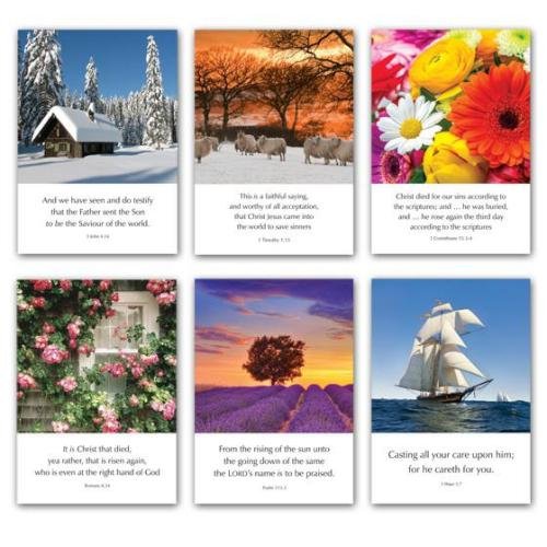 Greetings Cards: N series (mixed pack of 6)