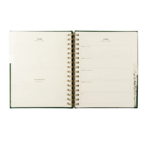 Hosanna Revival 12-Month 2025 Dated Planner: Summerside Design, Spiral