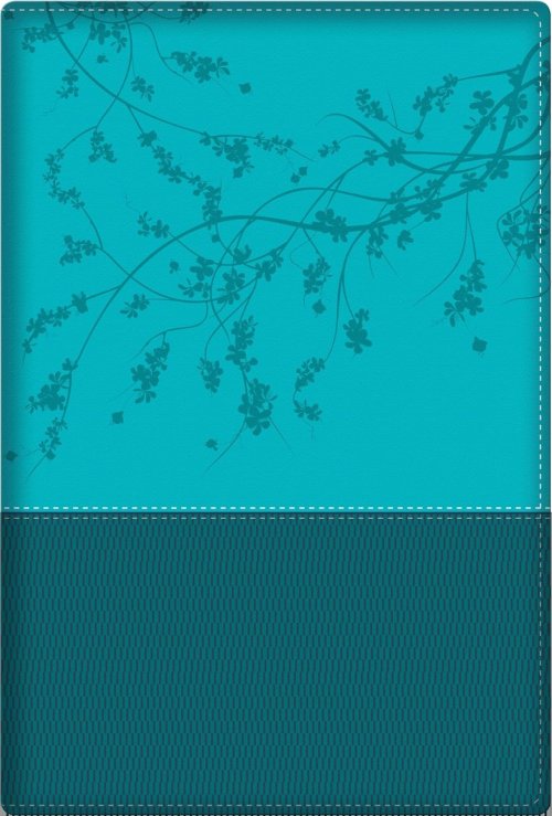 Woman After God's/Heart Bible-Teal (New)