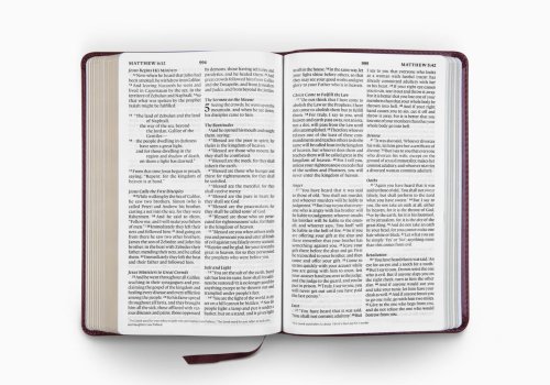 ESV Large Print Thinline Bible (TruTone, Mahogany)