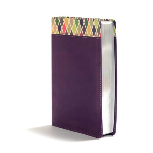 CSB Rainbow Study Bible, Purple LeatherTouch