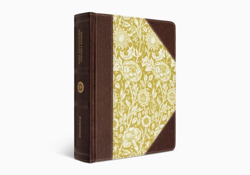 ESV Single Column Journaling Bible