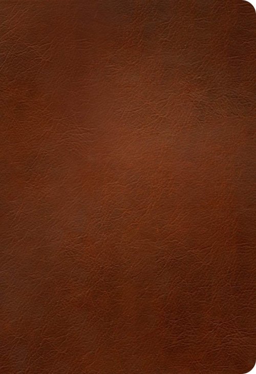 NLT Large Print Thinline Reference Bible, Filament Enabled (Genuine Leather, Brown, Indexed, Red Letter)