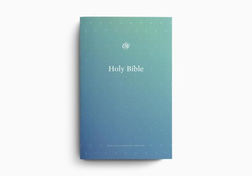 ESV Outreach Bible (Paperback, Blue)