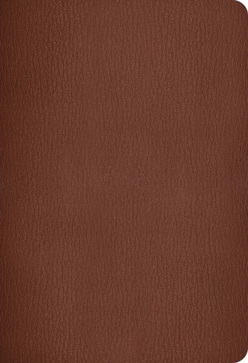 NLT Super Giant Print Bible, Filament Enabled (Genuine Leather, Brown, Indexed)