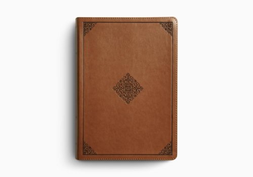 ESV Study Bible (TruTone, English Saddle, Ornament Design)