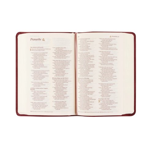 NLT Compact Bible: Helena Theme