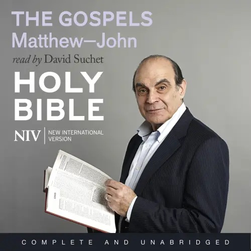 NIV Bible: the Gospels