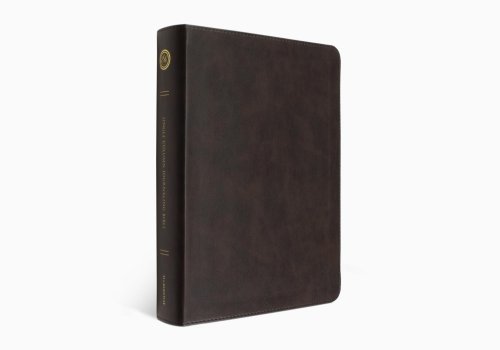 ESV Single Column Journaling Bible, Large Print (TruTone, Deep Brown)