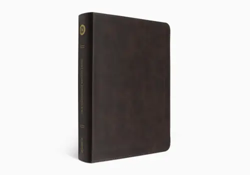 ESV Single Column Journaling Bible, Large Print (TruTone, Deep Brown)