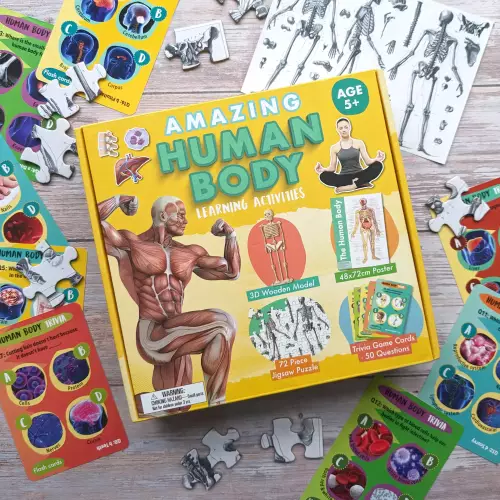 Amazing Activity Set - Human Body