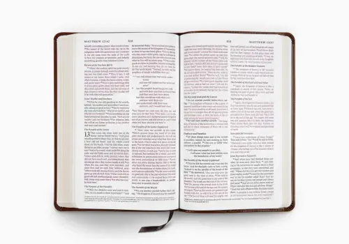 ESV Thinline Bible, Red Letter (TruTone, Mahogany, Border Design)