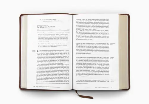 ESV Chronological Bible (TruTone, Brown)