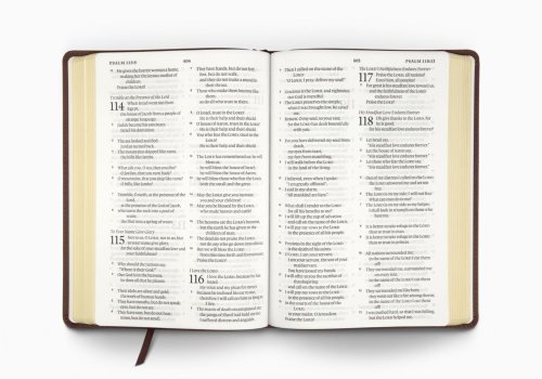 ESV Large Print Bible (TruTone, Deep Brown)