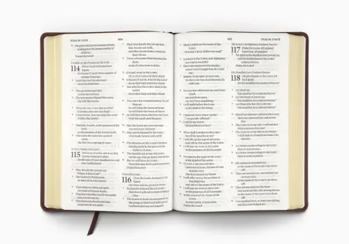 ESV Large Print Bible (TruTone, Deep Brown)