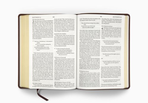 ESV Large Print Bible (TruTone, Deep Brown)