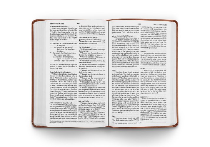 ESV Large Print Value Thinline Bible (TruTone, Camel)