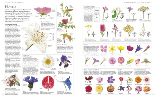 Rhs A-Z Encyclopedia Of Garden Plants 4th Edition