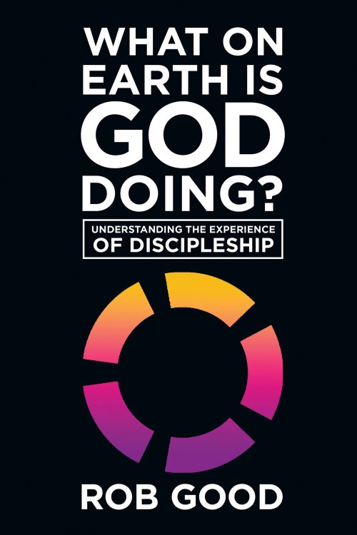 What on Earth Is God Doing?: Understanding the Experience of Discipleship