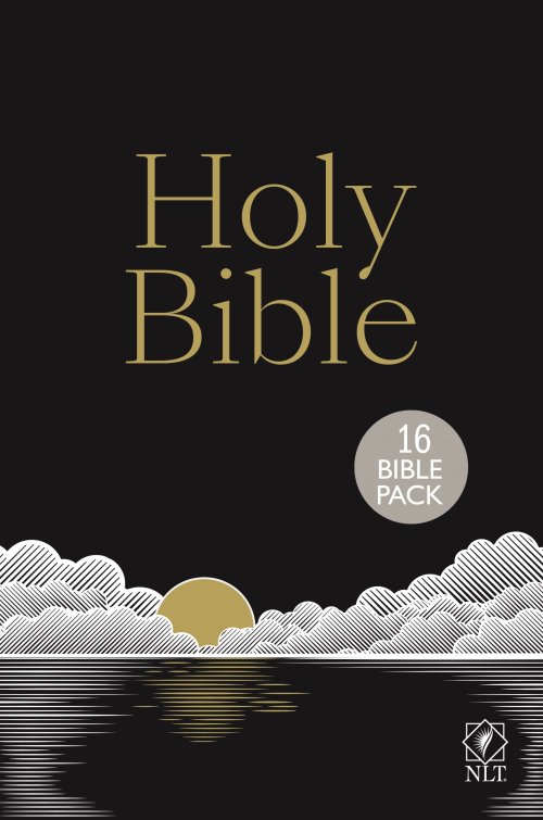 NLT Holy Bible: New Living Translation Gift Hardback Edition, British Text Version 16 PACK