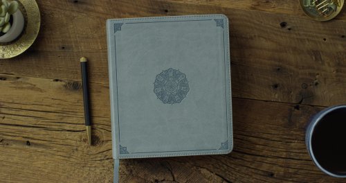 ESV Journaling Bible (TruTone, Paris Sky, Emblem Design)