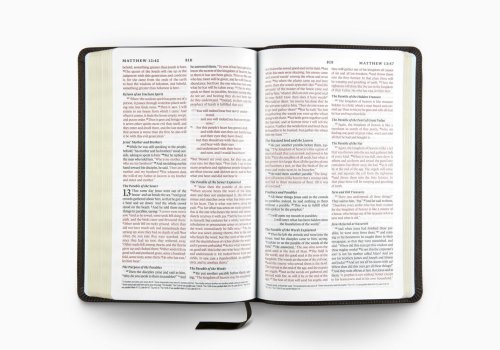 ESV Thinline Bible, Red Letter (Buffalo Leather, Deep Brown)