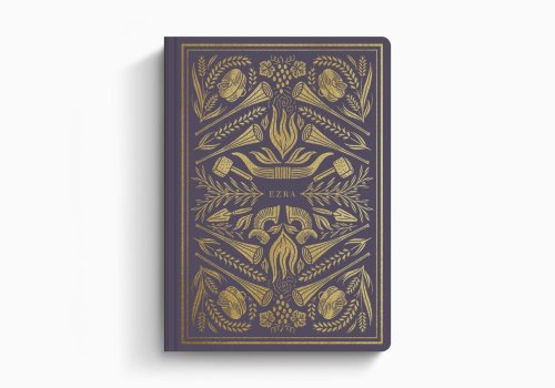 Ezra - ESV Illuminated Scripture Journal