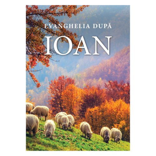 Romanian Gospel according to John - Paperback