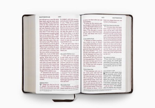 ESV Large Print Personal Size Bible (Trutone, Brown, Engrave