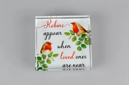 Robin Near You Glass Block Paperweight