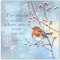 Robin In The Snow Christian Christmas Cards (Pack of 5)