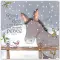 Little Donkey Christian Christmas Cards (Pack of 5)