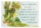 Praying for You - Classic Quotes - 12 Boxed Cards, KJV