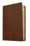 NLT One Year Chronological Study Bible (LeatherLike, Rustic Brown)