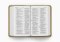 ESV Value Compact Bible, Gold, Imitation Leather