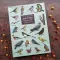 Foldover Writing Paper Set - Patricia Maccarthy Birds