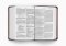 ESV Value Large Print Compact Bible (TruTone, Mahogany, Border Design)