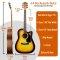 MX Cutaway Acoustic Guitar Pack - Sunburst