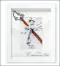 Symbolic Confirmation Photo Frame with White Finish