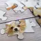 100 Pc Cube Jigsaw - Patricia Maccarthy Dogs