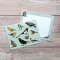 Fliplid Boxed Notecard Set - Patricia Maccarthy Birds