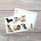 Fliplid Boxed Notecard Set - Patricia Maccarthy Dogs