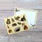 Fliplid Boxed Notecard Set - Patricia Maccarthy Wildlife