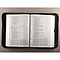 Large Serenity Prayer Aqua Two-tone LuxLeather Bible Cover