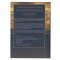 Gold and Navy Mountain View Hardcover NLT Everyday Devotional Bible for Men