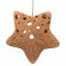 Star Ceramic Air Plant Hanger