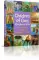 Children of God Storybook Bible