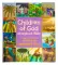 Children of God Storybook Bible