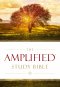 Amplified Study Bible, Brown, Hardback, Large Print, Study and Practical Theological Notes, Book Introductions, Translators' Footnotes, Topical Index, Full-Colour Maps