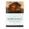 Amplified Study Bible, Brown, Hardback, Large Print, Study and Practical Theological Notes, Book Introductions, Translators' Footnotes, Topical Index, Full-Colour Maps